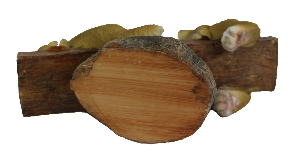 Dekofigur Hasen Familie auf Wippe Gartenfigur Tierfigur 26 x 25 cm