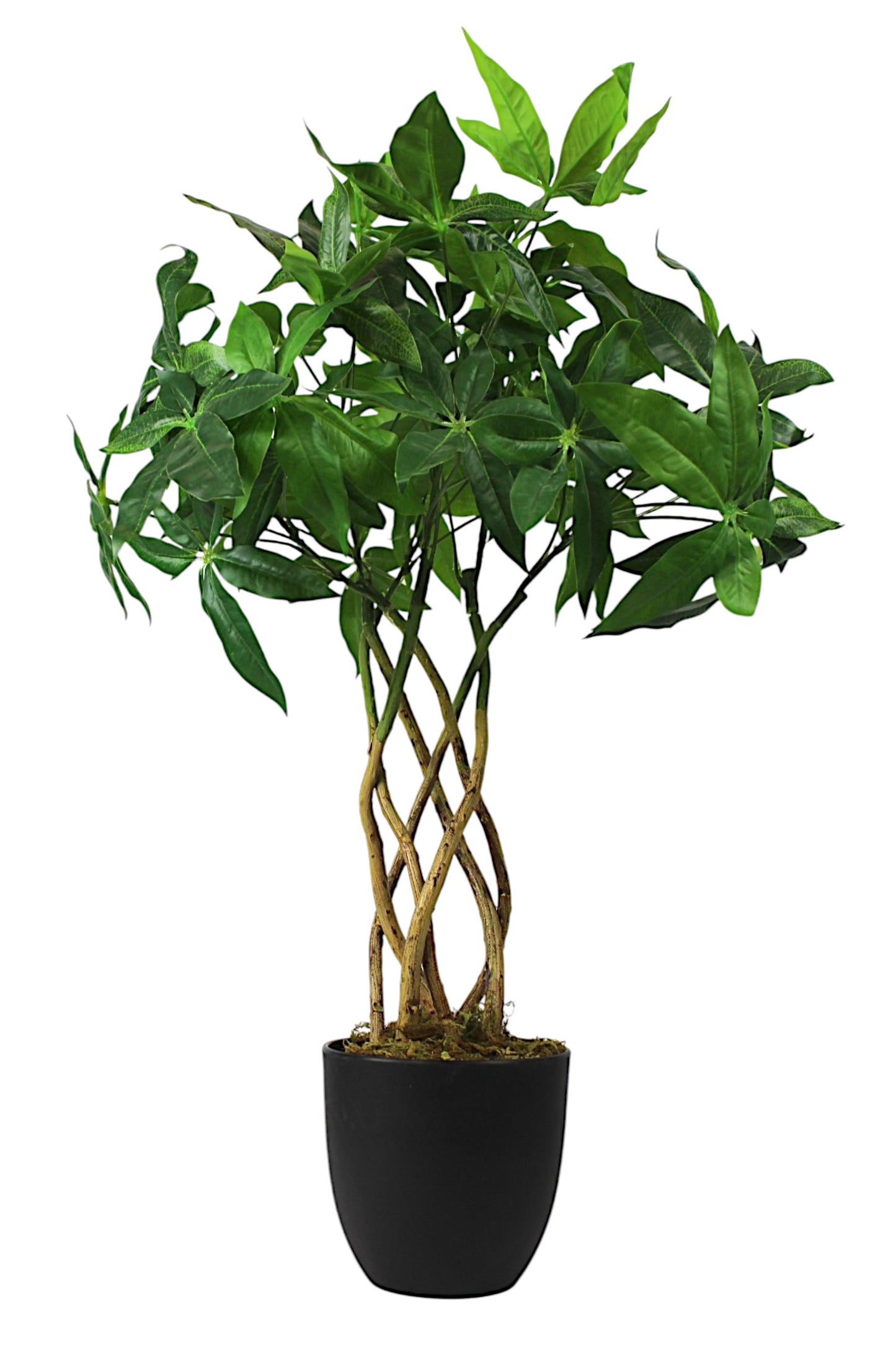 Künstliche Pflanze 65 cm im Topf Grünpflanze Zimmerpflanze Kunstpflanze mit Flecht-Stamm