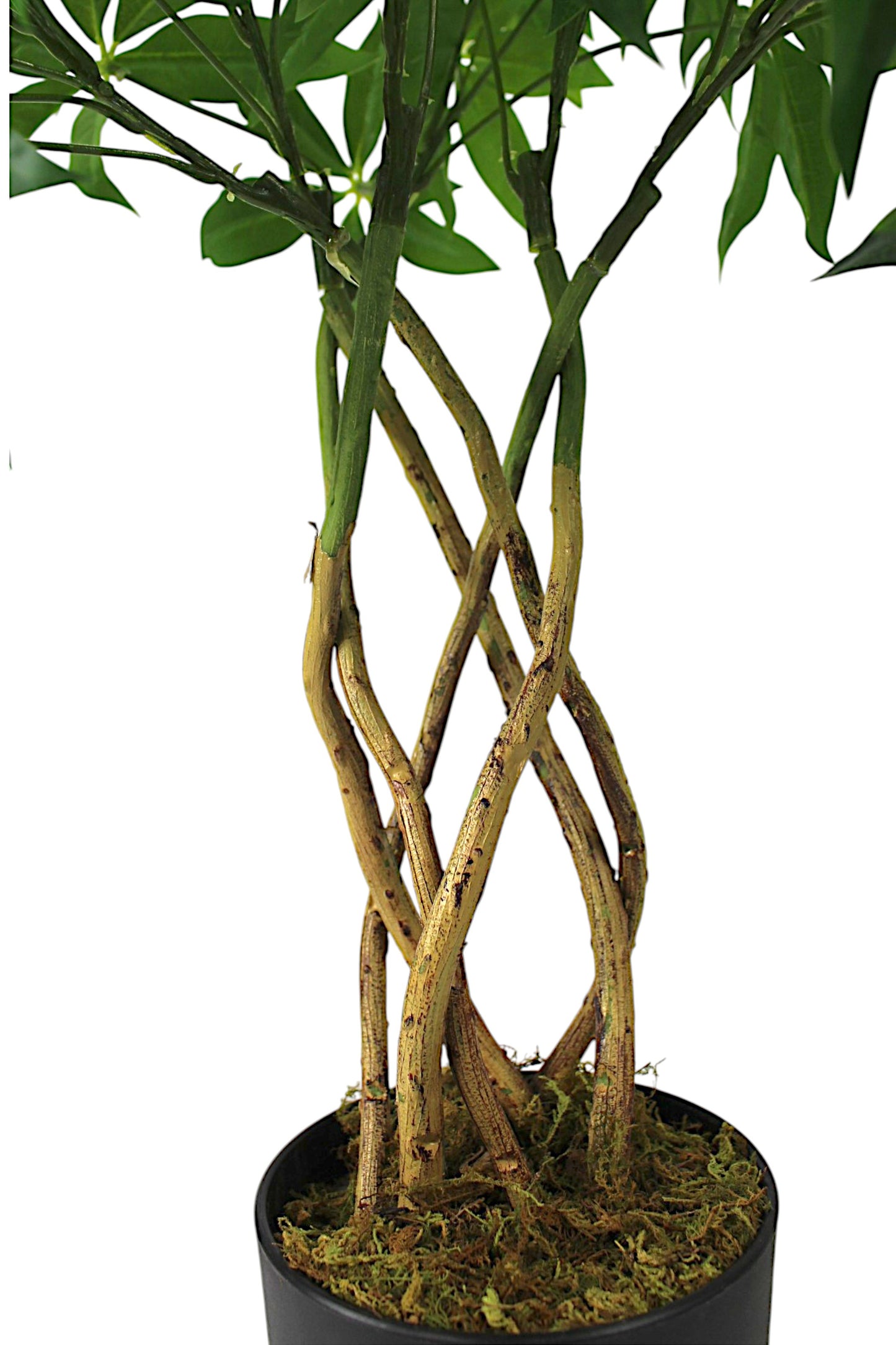 Künstliche Pflanze 65 cm im Topf Grünpflanze Zimmerpflanze Kunstpflanze mit Flecht-Stamm