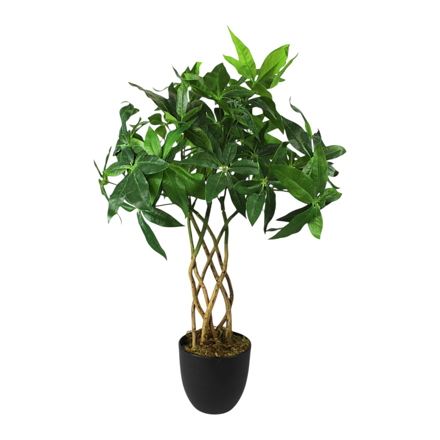 Künstliche Pflanze 65 cm im Topf Grünpflanze Zimmerpflanze Kunstpflanze mit Flecht-Stamm