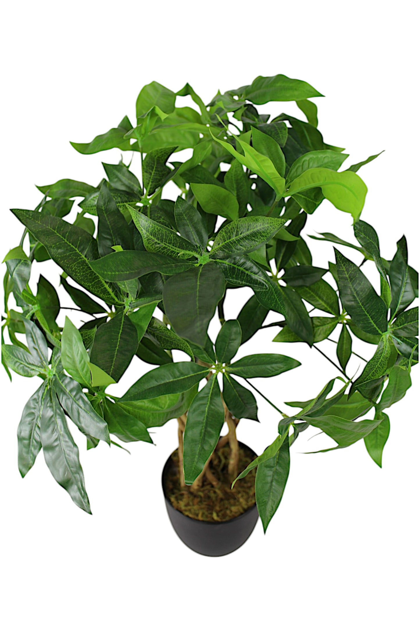 Künstliche Pflanze 65 cm im Topf Grünpflanze Zimmerpflanze Kunstpflanze mit Flecht-Stamm