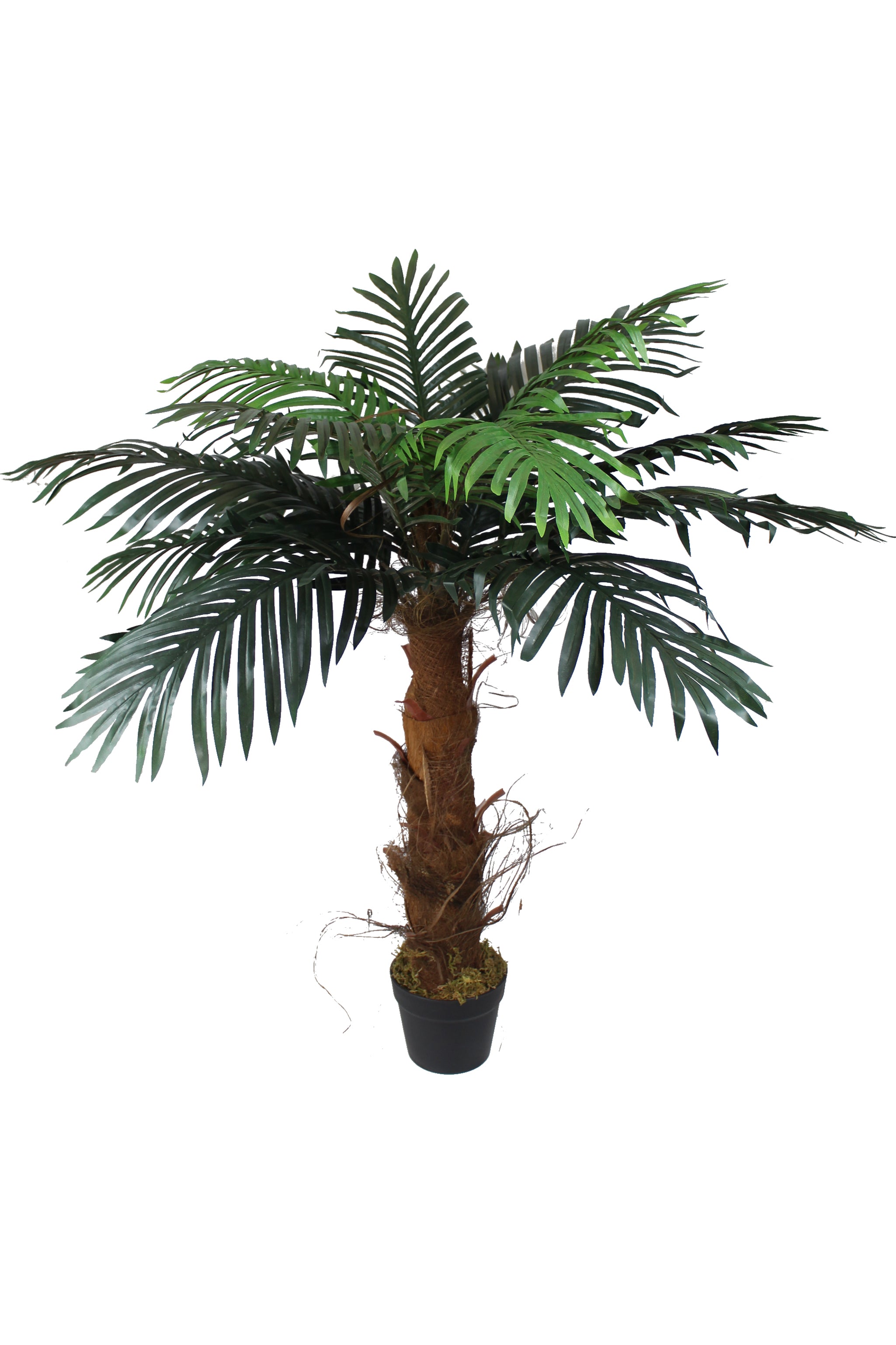 Kunstliche Palme Wie Echt