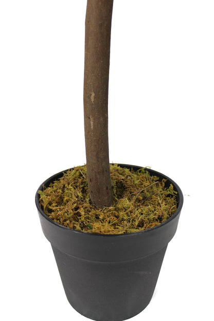 Großer künstlicher Olivenbaum Premium 185 cm Echtholzstamm Kunstpflanze