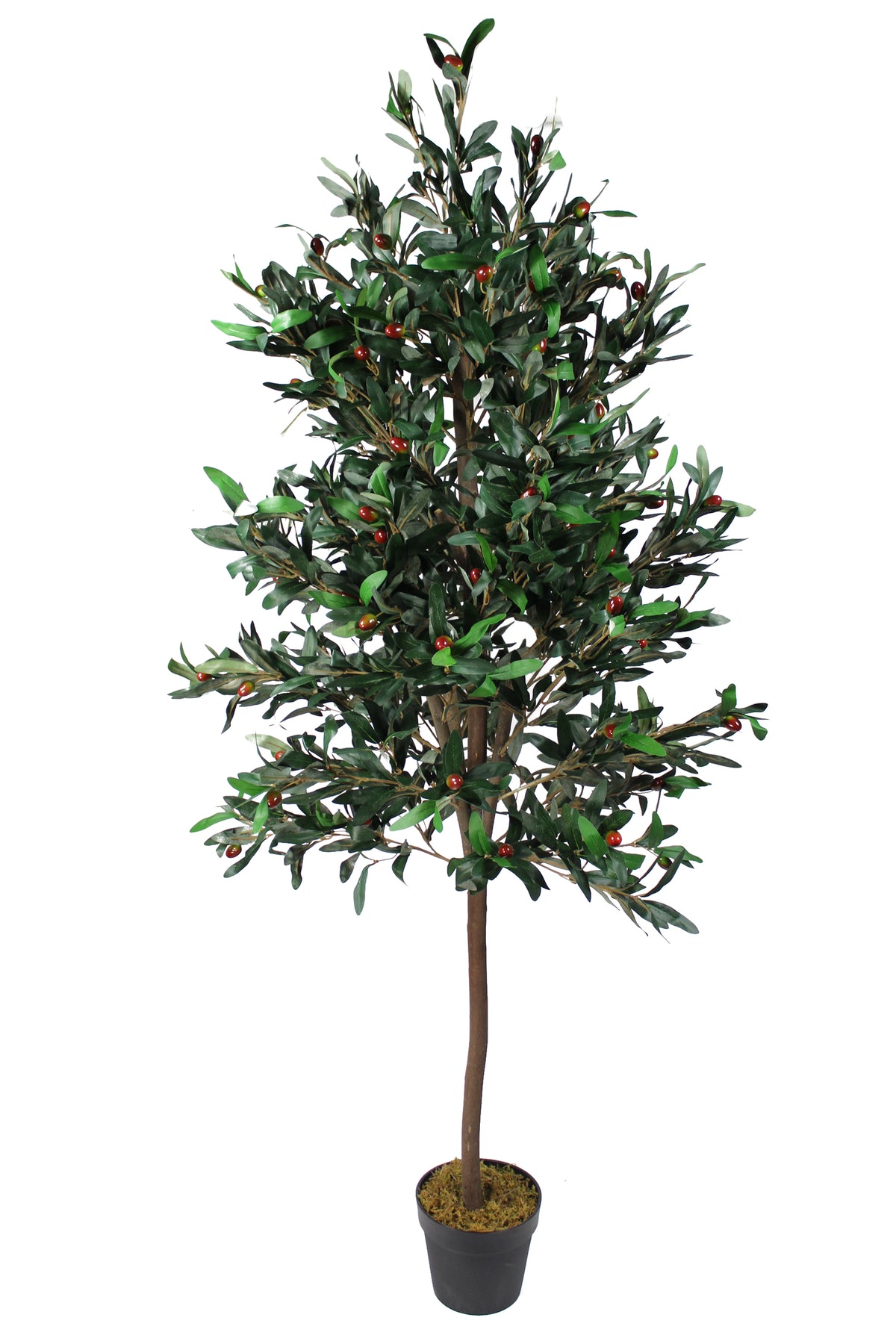 Großer künstlicher Olivenbaum Premium 185 cm Echtholzstamm Kunstpflanz – arnusa