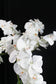 Große künstliche Orchidee 110 cm Weiß