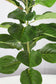 Künstliche Pflanze 95 cm Ficus Lyrata Kunstpflanze