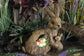 Solar Gartenfigur Hase mit Glaskugel Hasenfamilie Tierfigur Gartendekoration Solarlampe