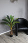 Künstliche Palme 100 cm mit 18 Palmenwedel wie echt Kunstpalme Kunstpflanze im Topf
