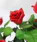 Künstlicher Rosenstamm 75 cm Rot mit 12 Rosen und 114 Blätter Kunstrose künstliche Rose Kunstpflanze