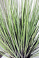Künstliches Lampenputzergras Deko Gras 100cm