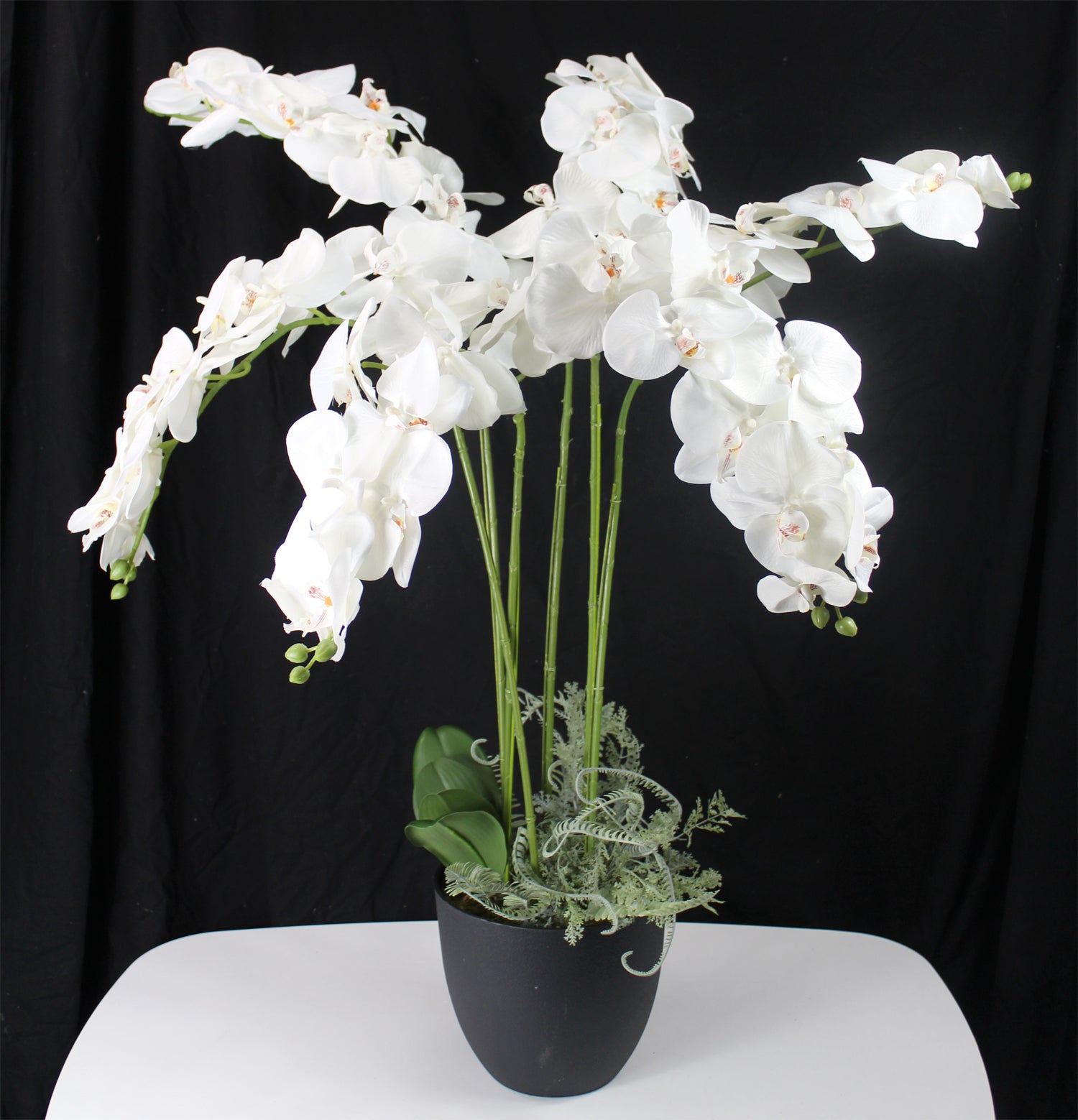 Große künstliche Orchidee 110 cm Weiß – arnusa
