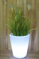 Arnusa Oasis Lights Blumentopf PL124 40 cm Kübel Topf Vase beleuchtet LED