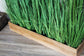 Raumtrenner Pampas Gräser 120 x 118 cm Kunstpflanze