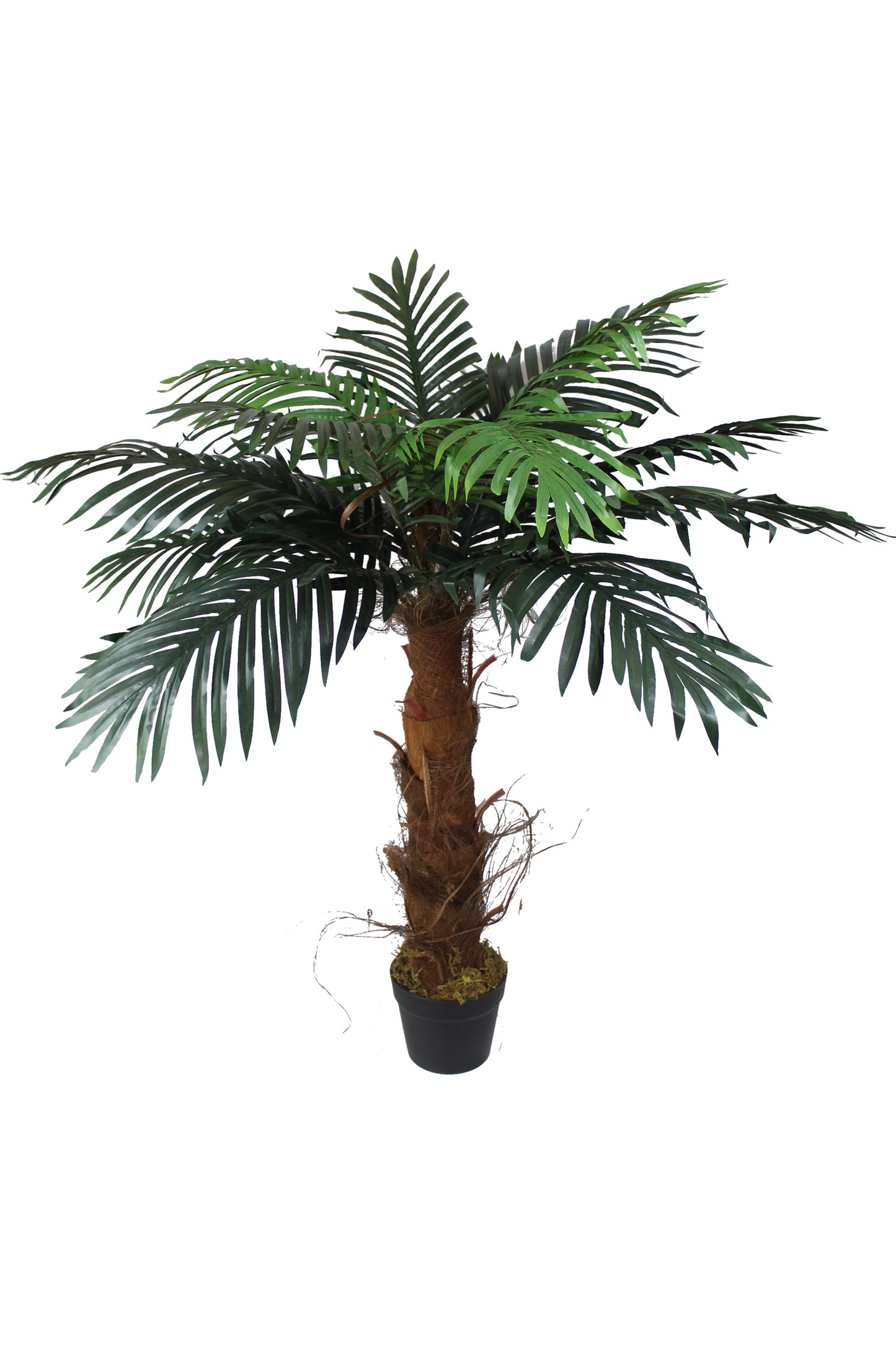 Künstliche Palme 100 cm wie echt Kunstpalme