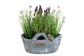 Blumentopf Korb "Cowboy" Pflanzschale