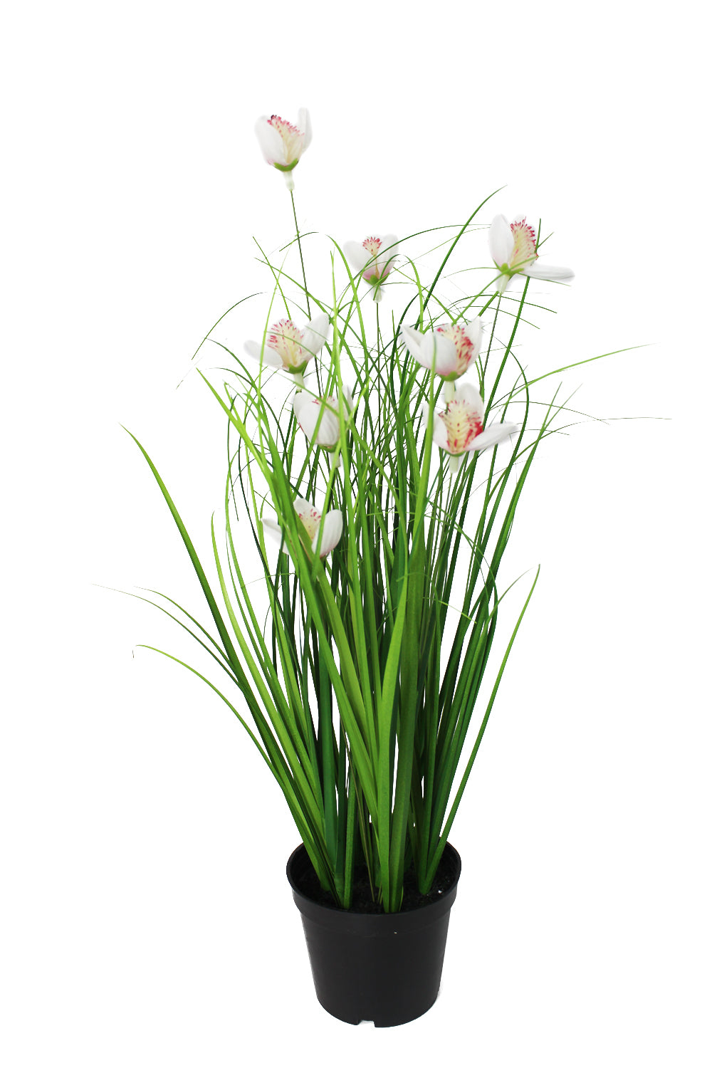 Künstliches Gras mit weißen Magnolien Blüten 40cm Kunstgras