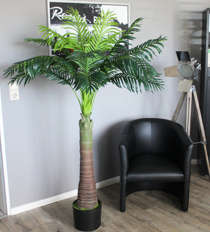 künstliche areca palme Künstliche Palme 180 cm Areca Palme Kunstpalme KP204 Kunstpflanze – arnusa