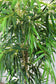 Großer künstlicher Bambus 190 cm Deluxe Kunstpflanze