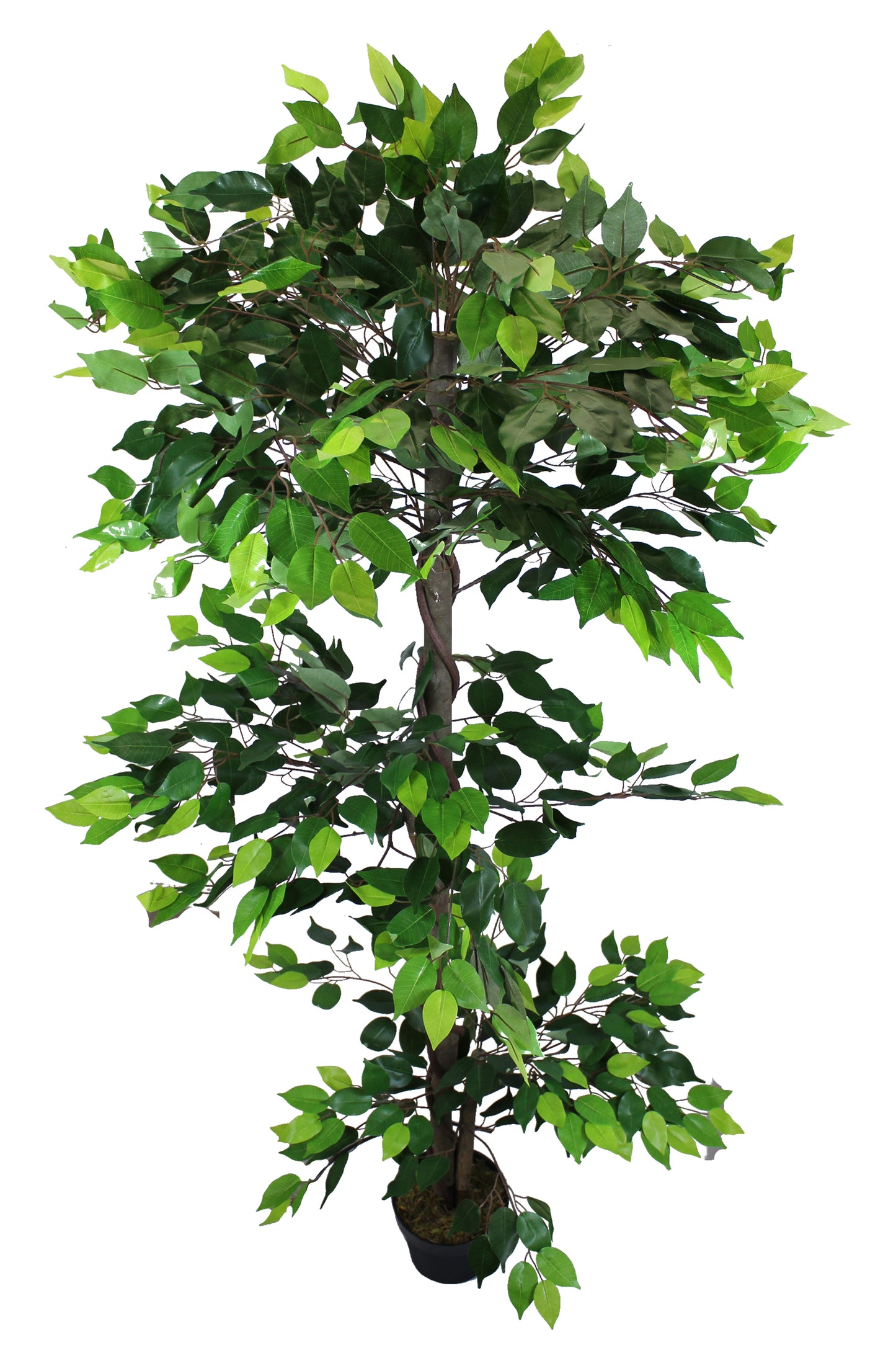 Große künstliche Pflanze Ficus 190 cm Kunstpflanze