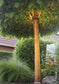 LED Gartenstrahler 5 W Warm-Weiß Gartenleuchte