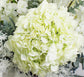 künstlicher weißer Blumenstrauß White Garden 60 cm Hortensie Kirschblüte Eukalyptus