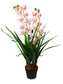 Künstliche Orchidee in Gräser Kunstgras Dekogras 85 cm mit 33 Blüten Kunstpflanze